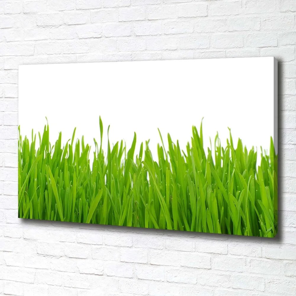 Tablou canvas Iarbă