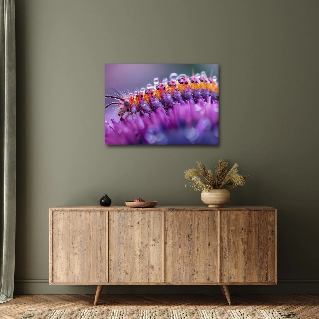 Tablou - Caterpillar (70x50 cm)