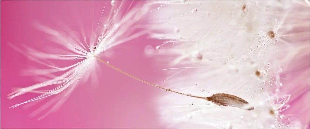 Tablou - Floare macro (120x50 cm)