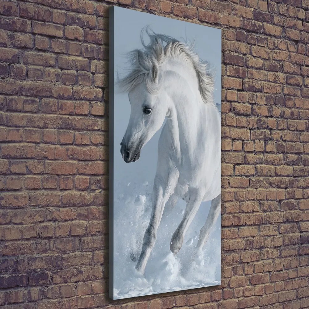 Tablou canvas Cal alb în galop
