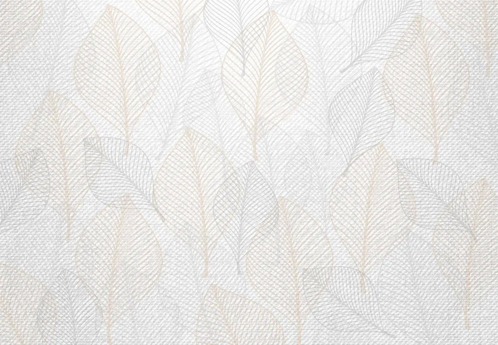Fototapet - Frunze delicate (147x102 cm)