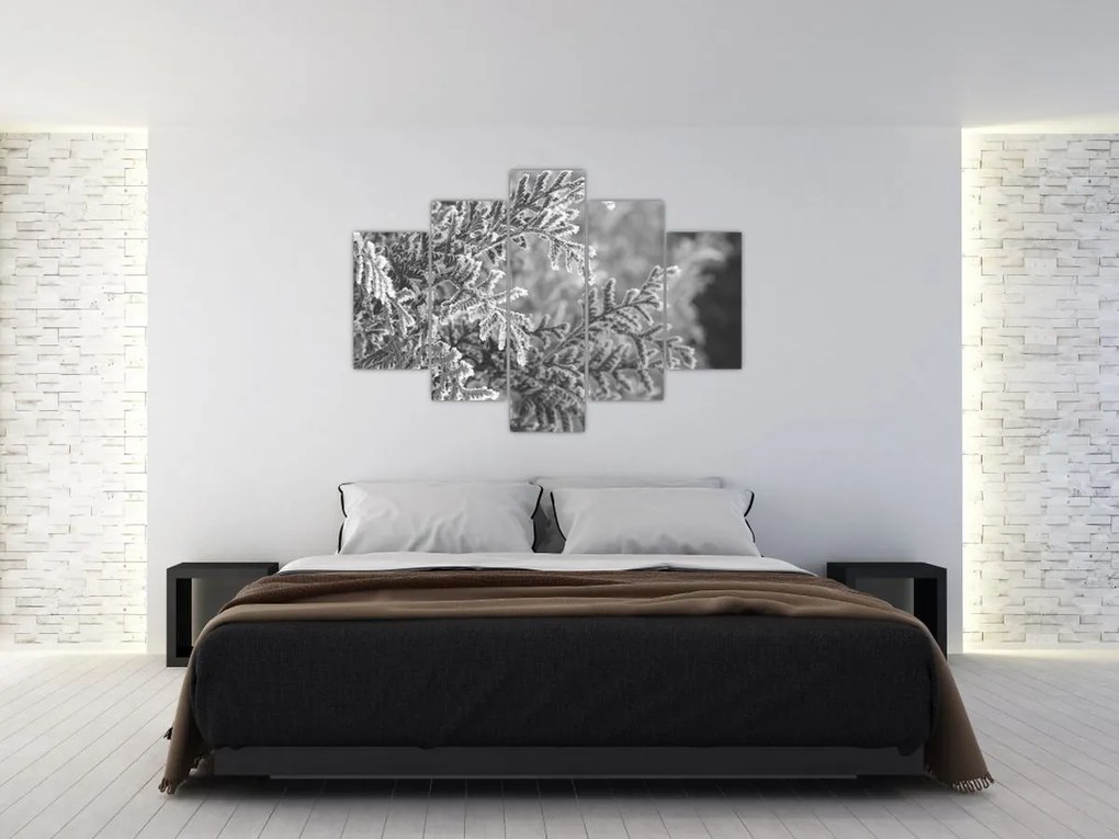 Tablou - Pădure de molid (150x105 cm)