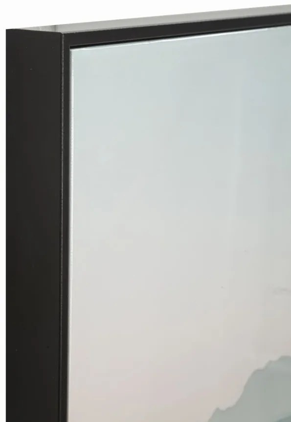 Mauro Ferretti Pictura Pe Panza Lacuita, Cu Rama, Cactus -B- Cm 60X4X88 | Aosom Romania