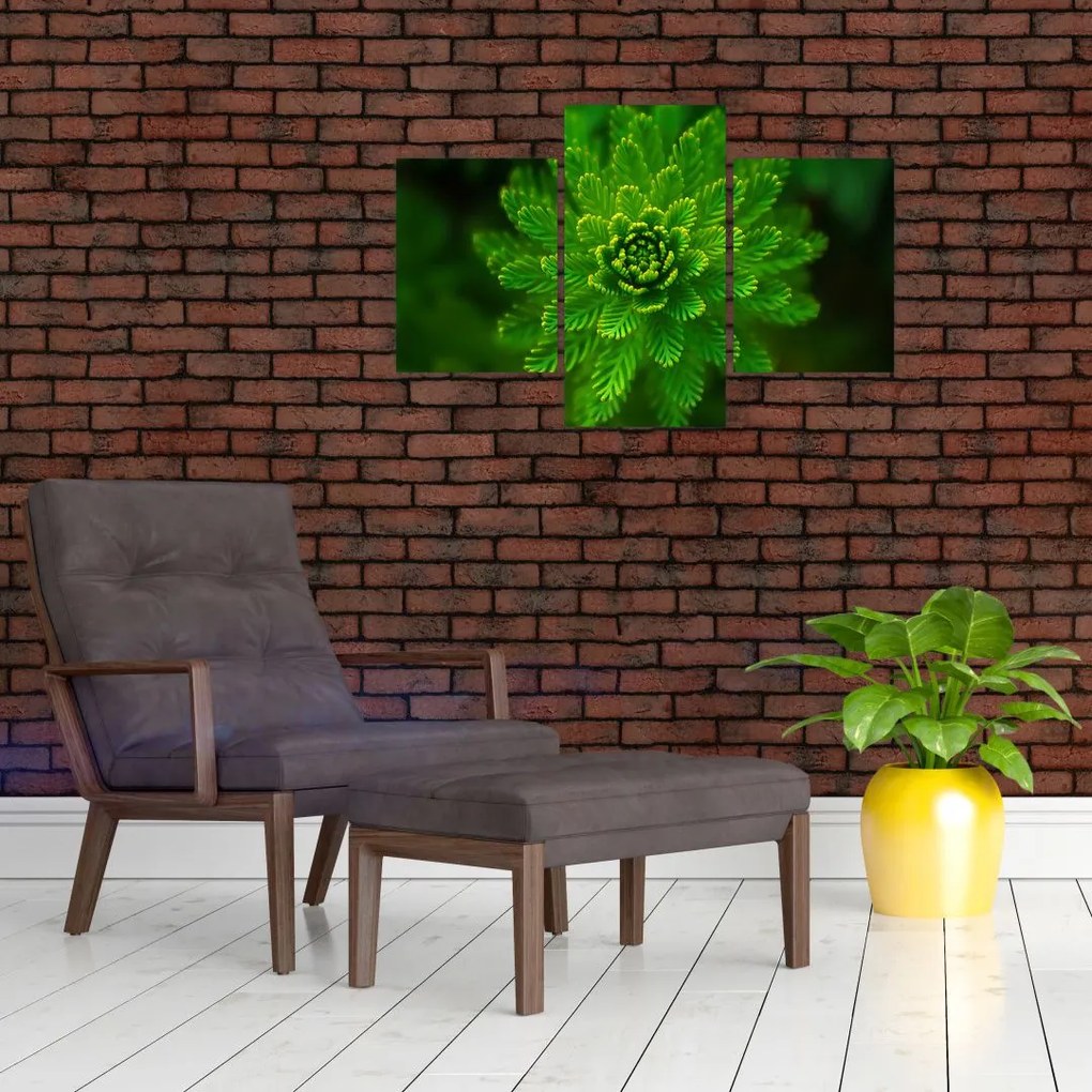Tablou cu coniferi (90x60 cm)
