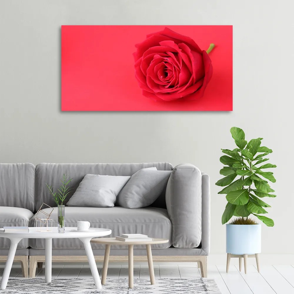 Tablou pe pânză canvas Trandafir roșu