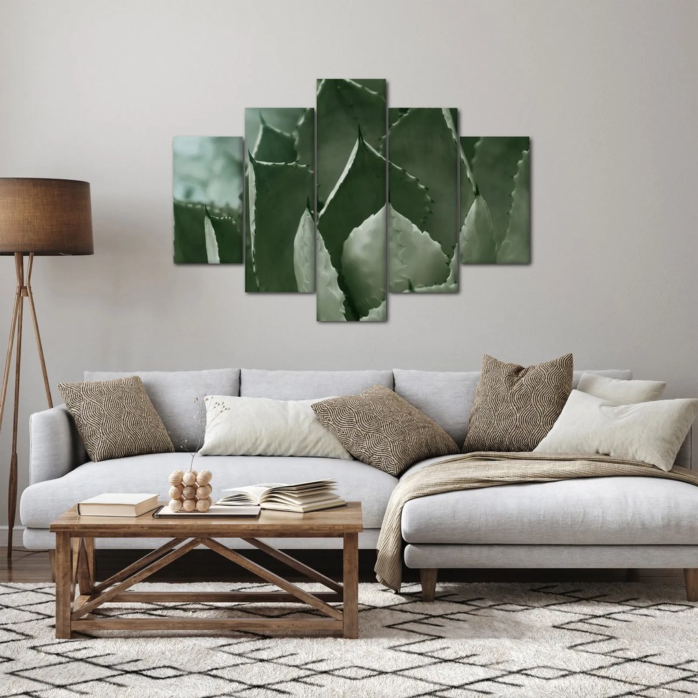 Tablou - Agave verde (150x105 cm)