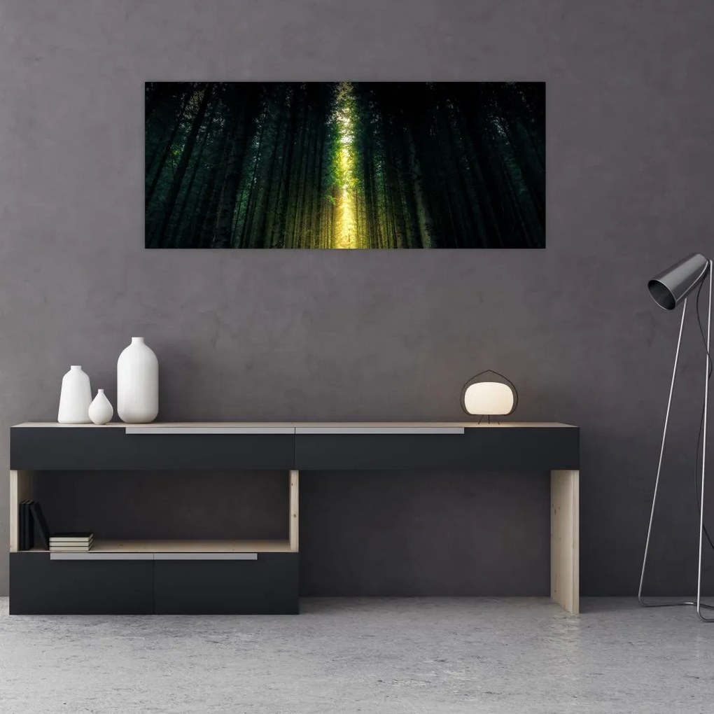 Tablou cu pădurea întunecată (120x50 cm)