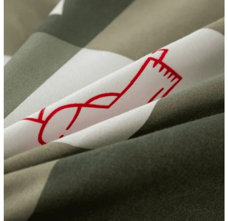 Lenjerie de pat din microfibra de flanel CHRISTMAS SOCKS verde Dimensiune lenjerie de pat: 70 x 90 cm | 140 x 220 cm