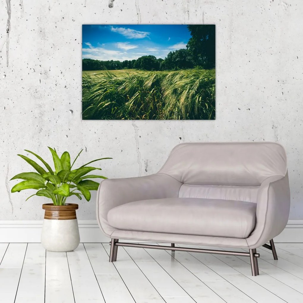 Tablou pe sticlă cu linca și pădure (70x50 cm)