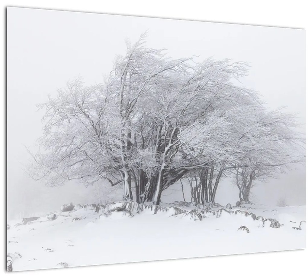 Tablou pe sticlă - Iarnă albă (70x50 cm)