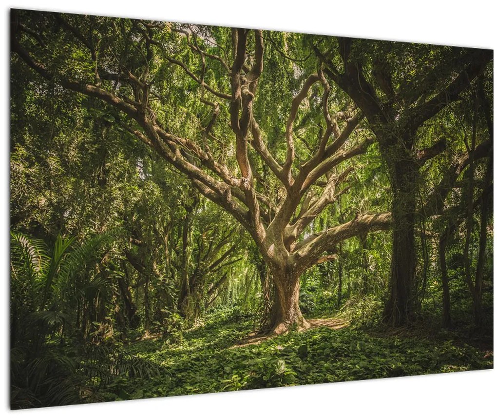 Tablou cu copaci (90x60 cm)