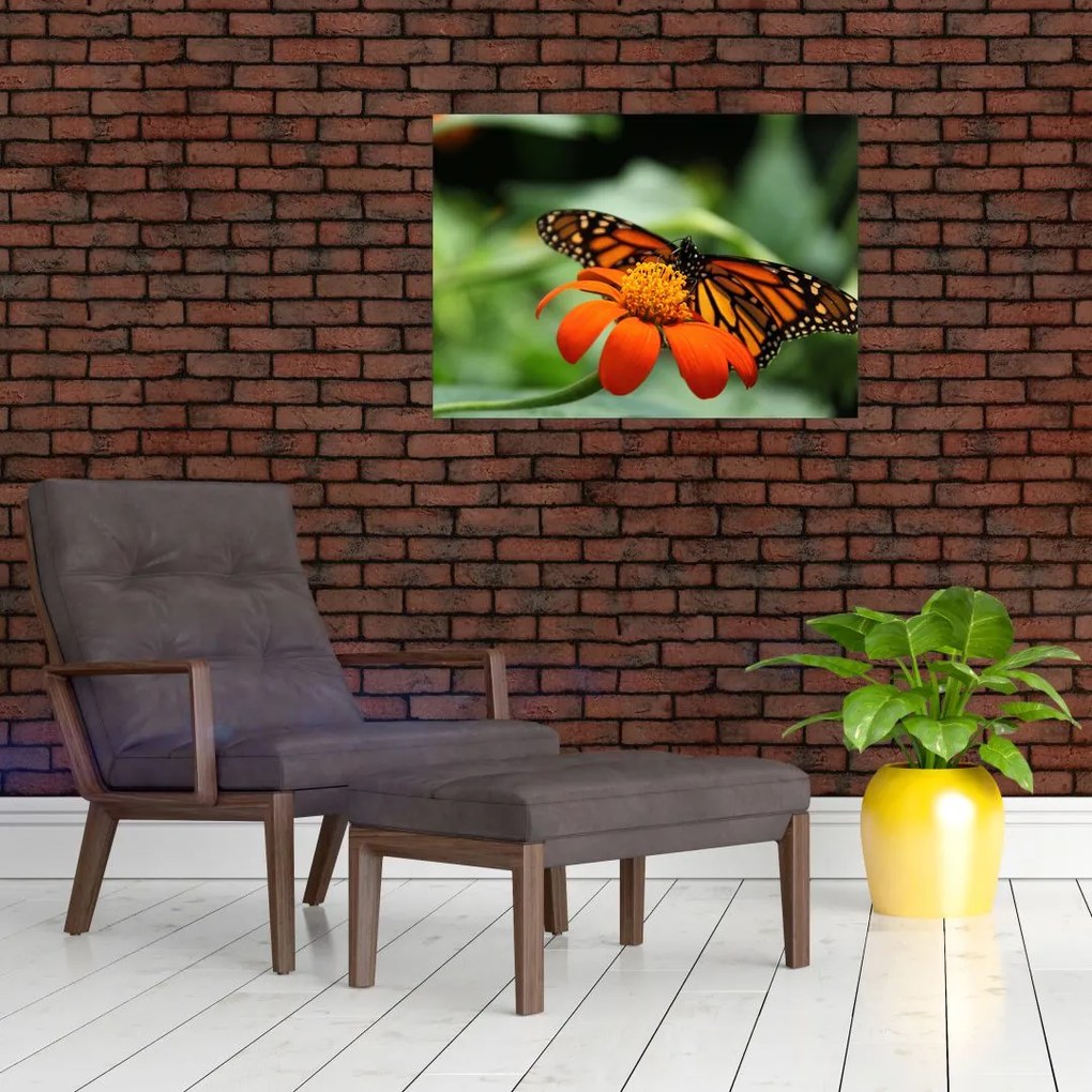 Tablou cu fluture pe floare (70x50 cm)