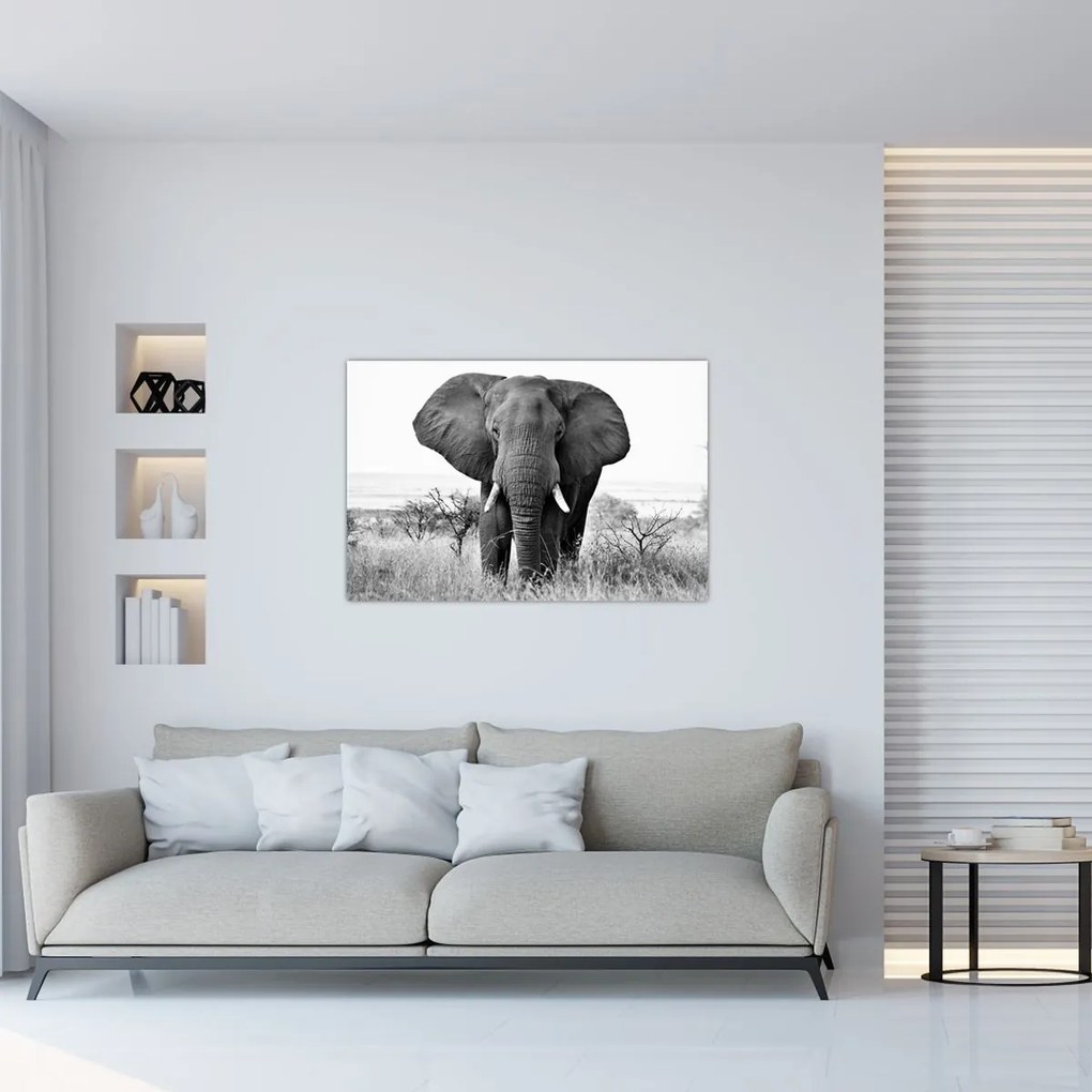 Tablou - Elefantul african II. (90x60 cm)