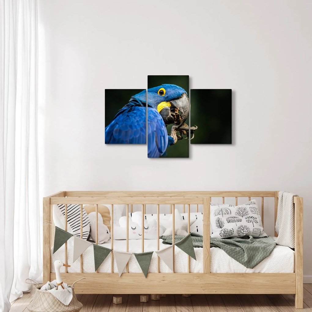 Tablou cu papagal (90x60 cm)