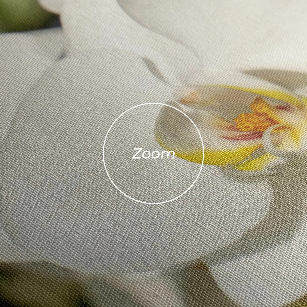 Tablou Canvas, 20x30cm, Dormitor si Living, Flori, Orhidee, Big Orchids In Nature