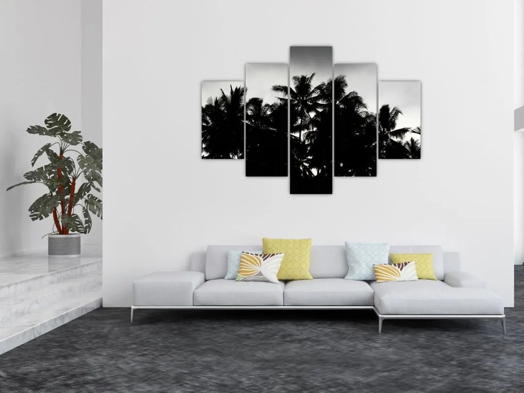 Tablou alb negru - palmieri (150x105 cm)