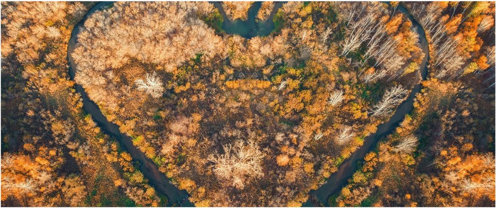 Tablou - Râu în formă de inimă (120x50 cm)