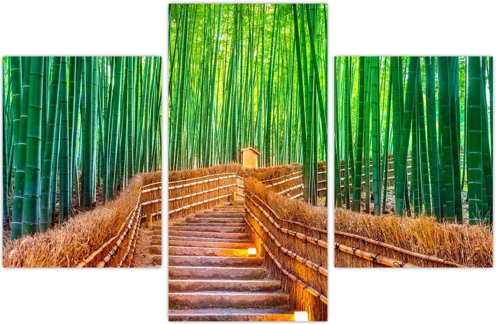 Tablou - Pădure de bambus japoneză (90x60 cm)
