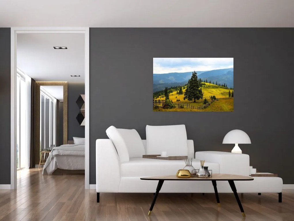 Tablou - Lunca de munte (90x60 cm)