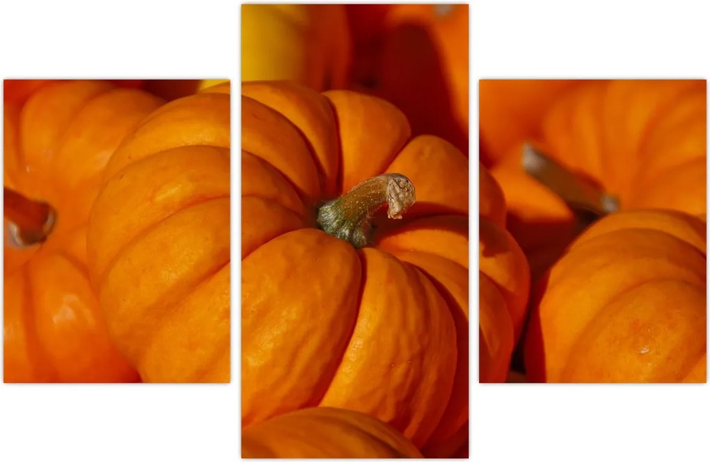 Tablou - Dovleci mari (90x60 cm)