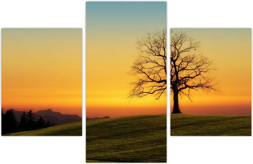 Tablou - Copacul în câmp (90x60 cm)