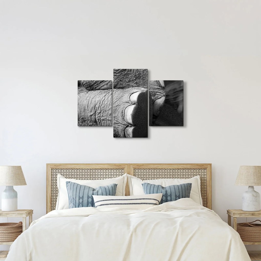 Tablou - Picior de elefant (90x60 cm)