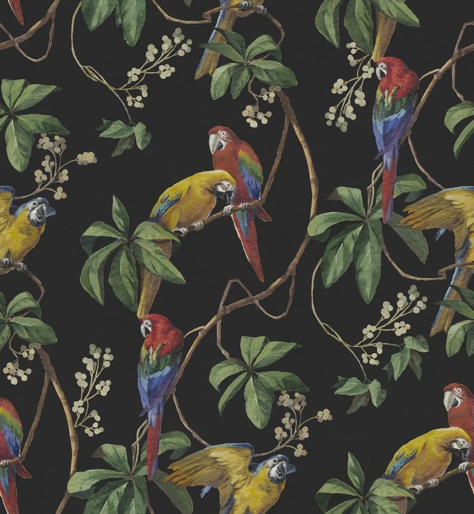 Fototapet, Parrots, Midnight, Rebel Walls