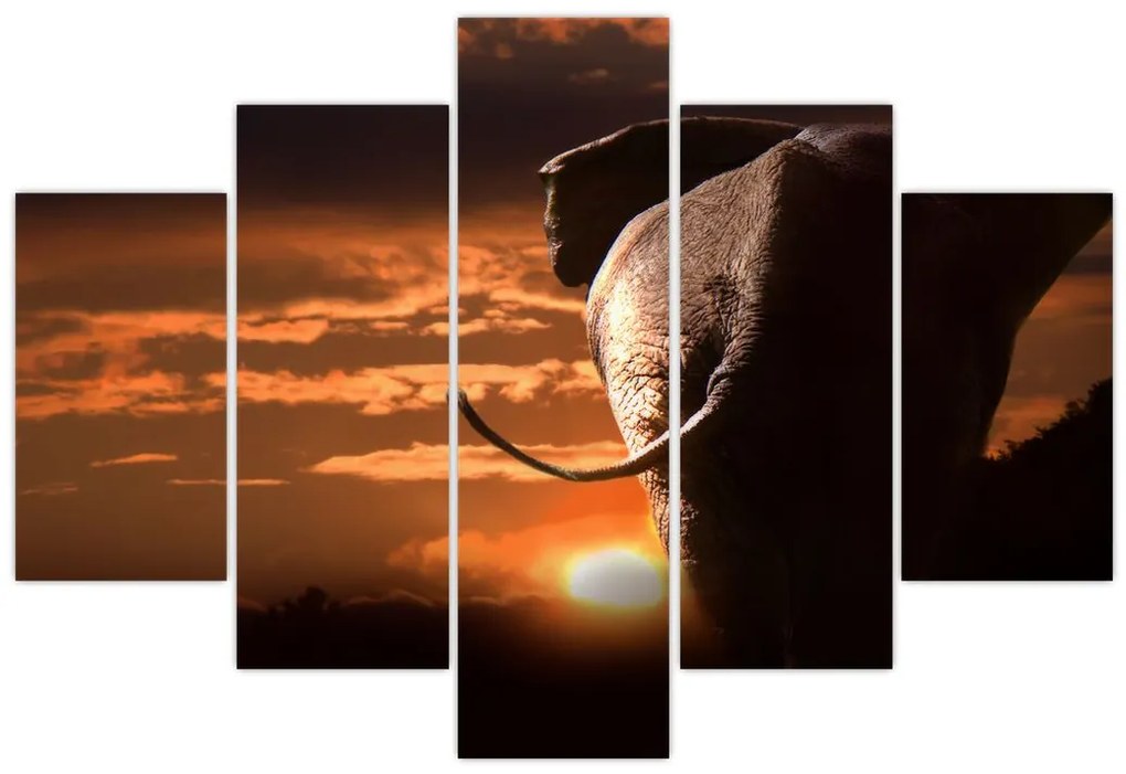 Tablou cu elefant (150x105 cm)