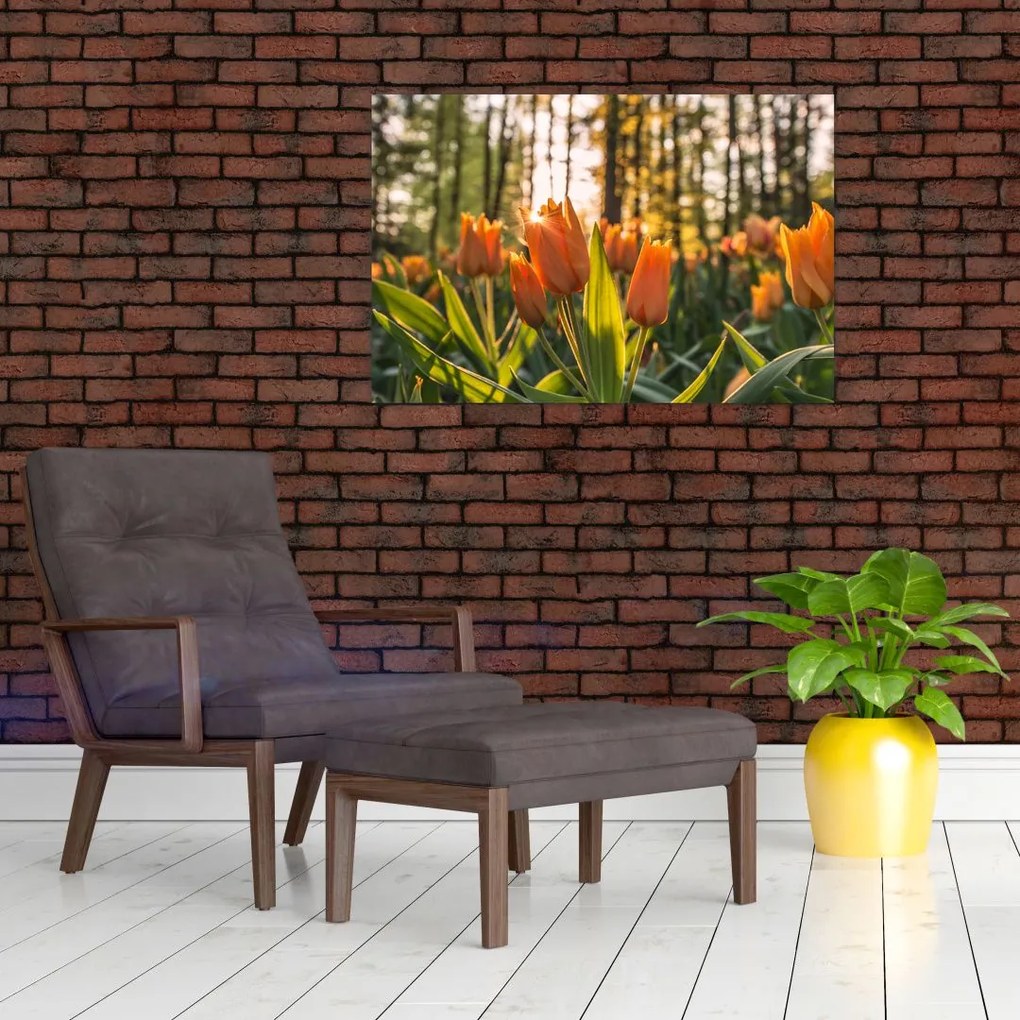 Tablou - florile lalelelor (90x60 cm)