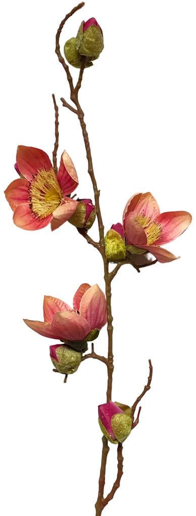 Crenguta cu magnolie roz piersica, Beauty, 100cm