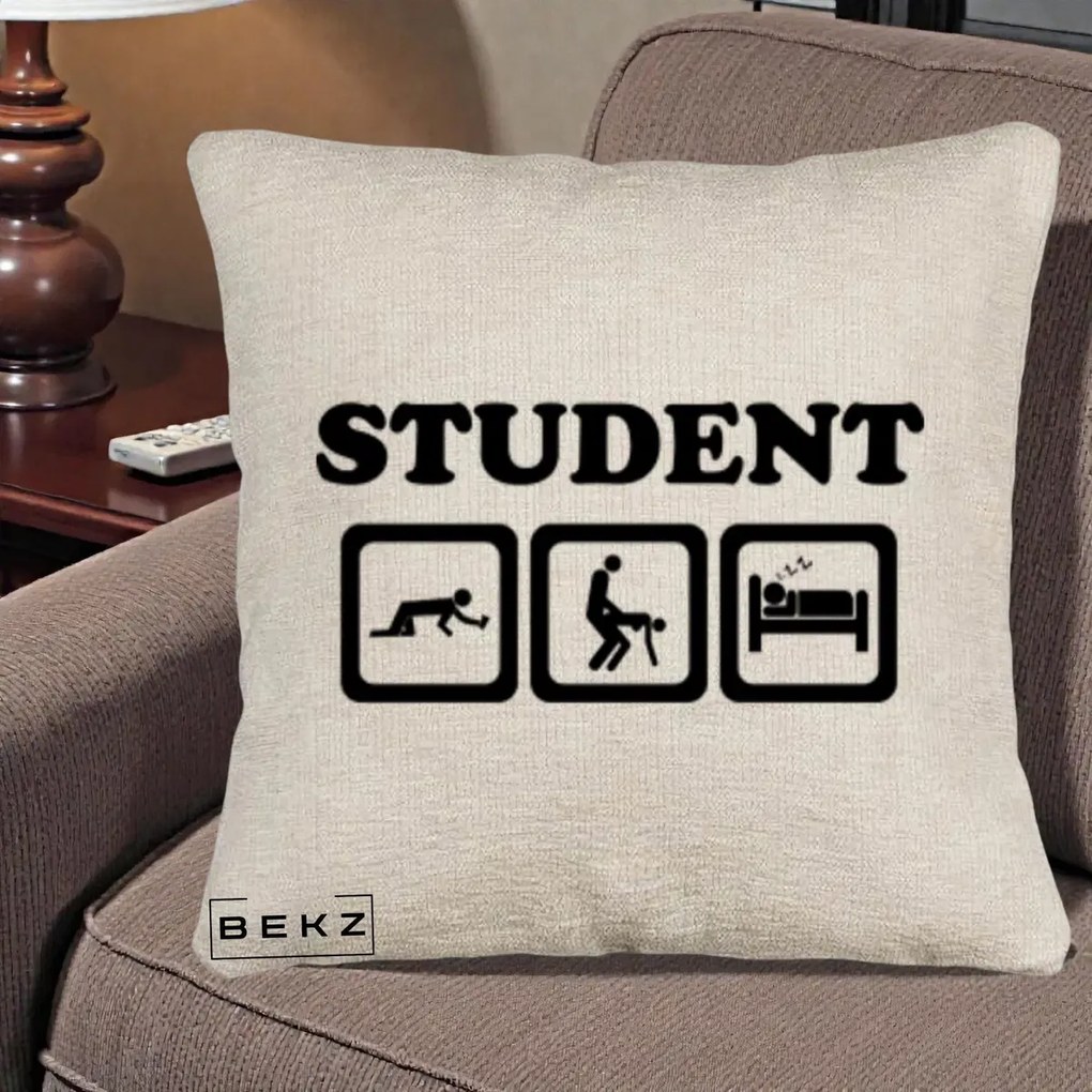 Perna Decorativa Student Life, 40x40 cm, Bej Canapea, Husa Detasabila, Perna Inclusa, BEKZ®
