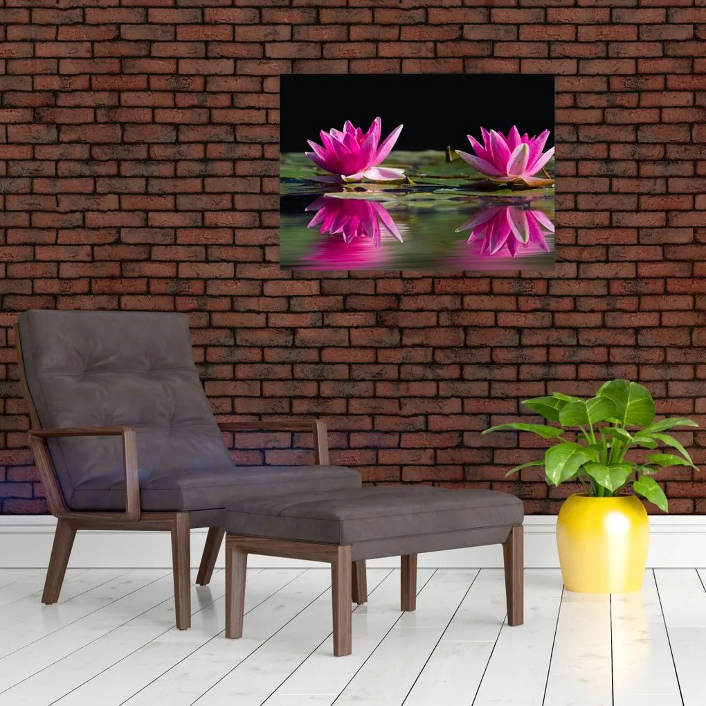 Tablou - Nuferi pe apă (70x50 cm)