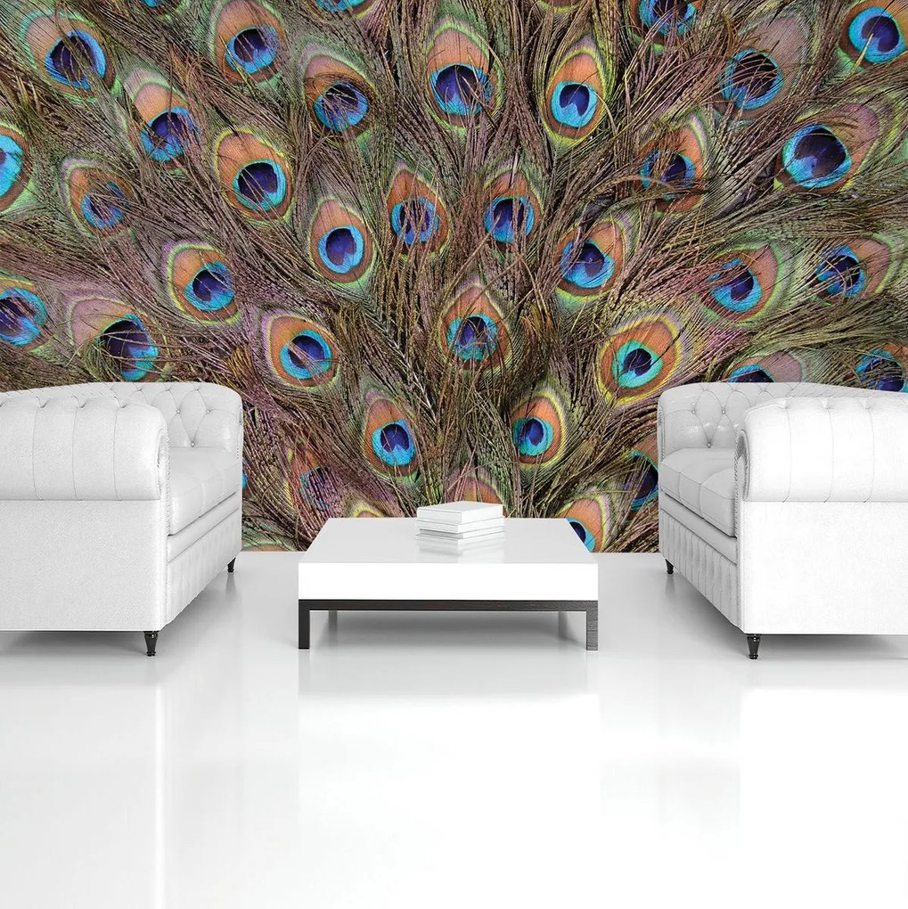 Fototapet - Păun (152,5x104 cm)