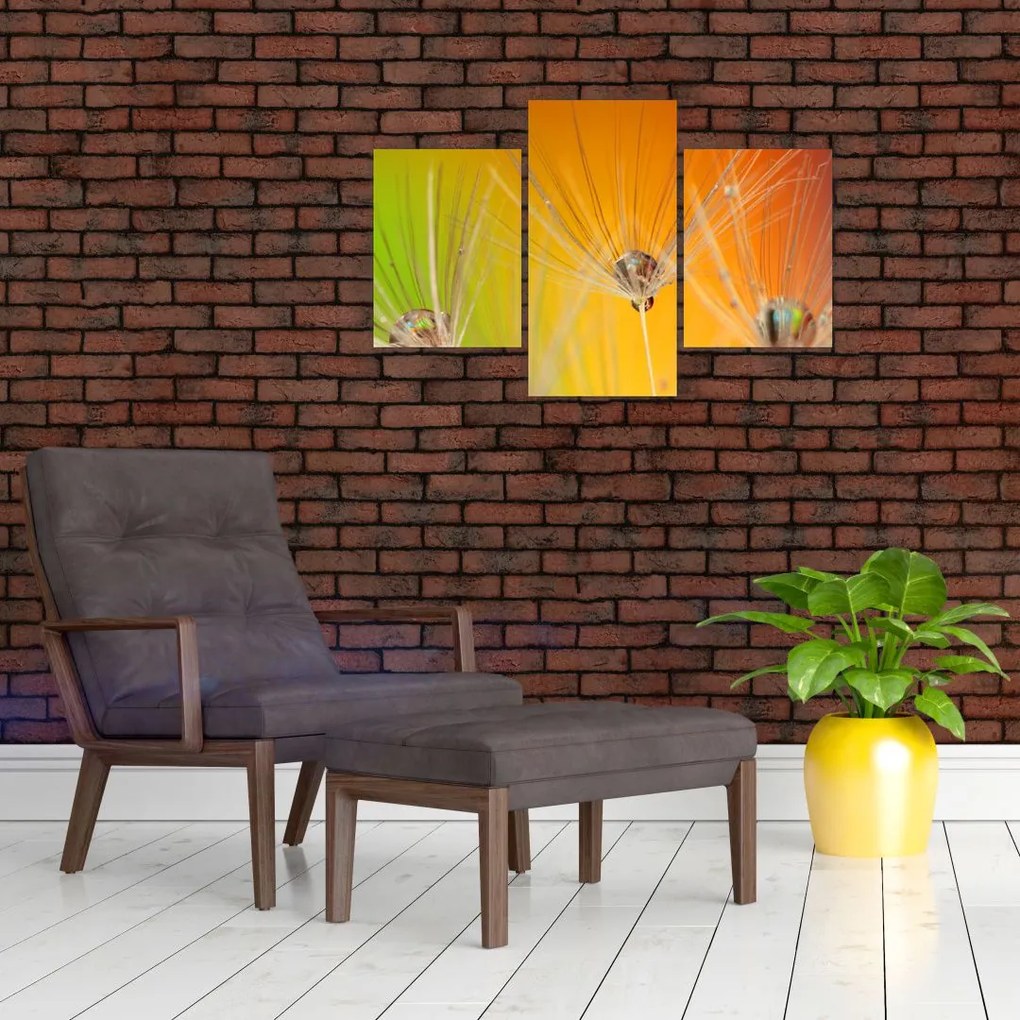 Tablou cu picături pe plantă (90x60 cm)