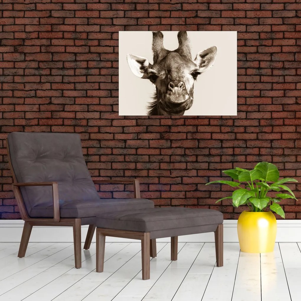 Tablou - Portret de girafă, de epocă (70x50 cm)