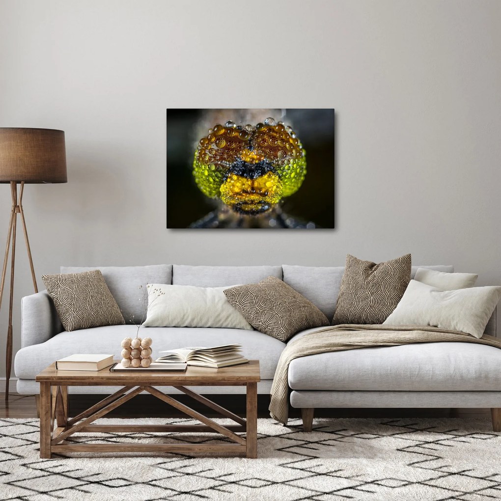 Tablou detailat cu ochii de omidă (70x50 cm)