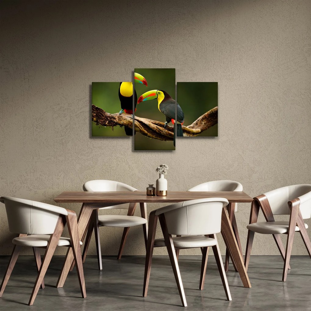 Tablou tucani sezând , Costa Rica (90x60 cm)