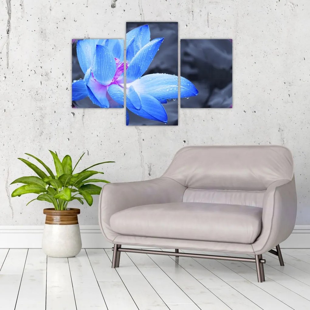 Tablou florilor în detailu (90x60 cm)