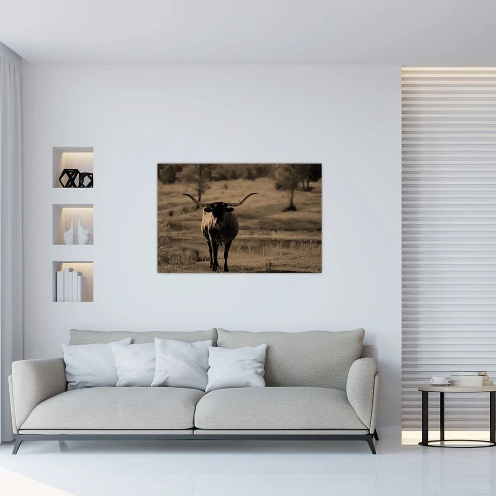 Tablou - Vacă din Texas (90x60 cm)