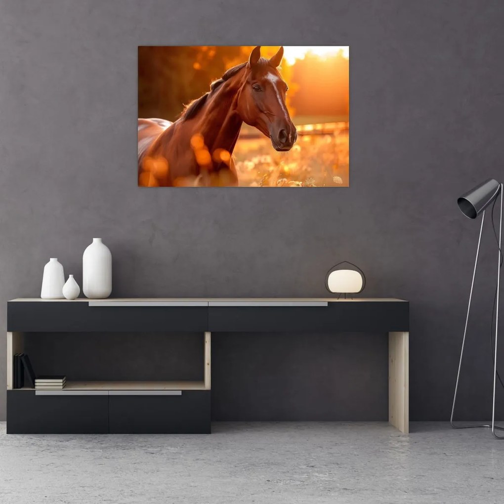 Tablou - Cal în apus de soare (90x60 cm)