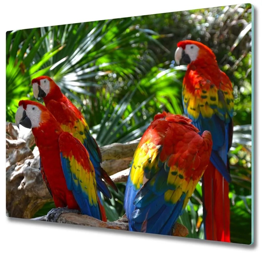 Tocator din sticla macaws papagali