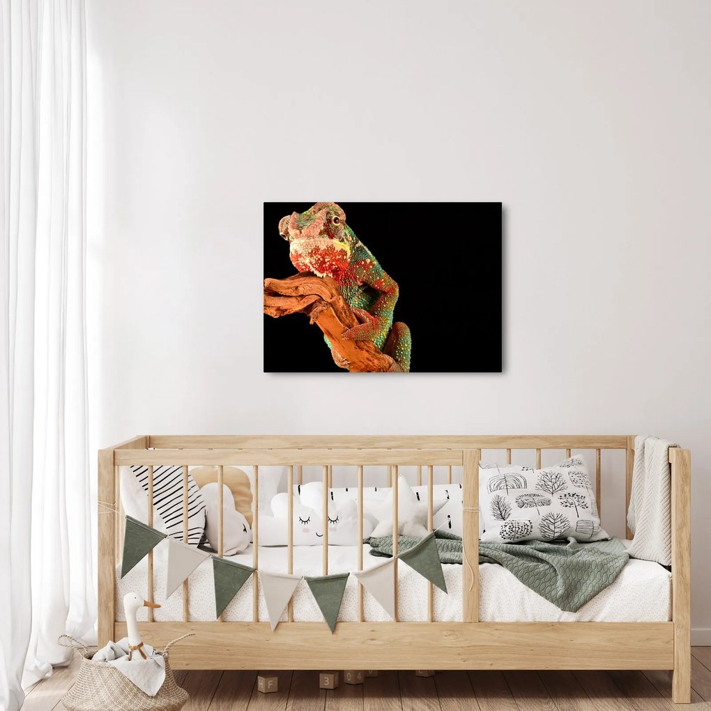 Tablou cu cameleon pe creangă (70x50 cm)
