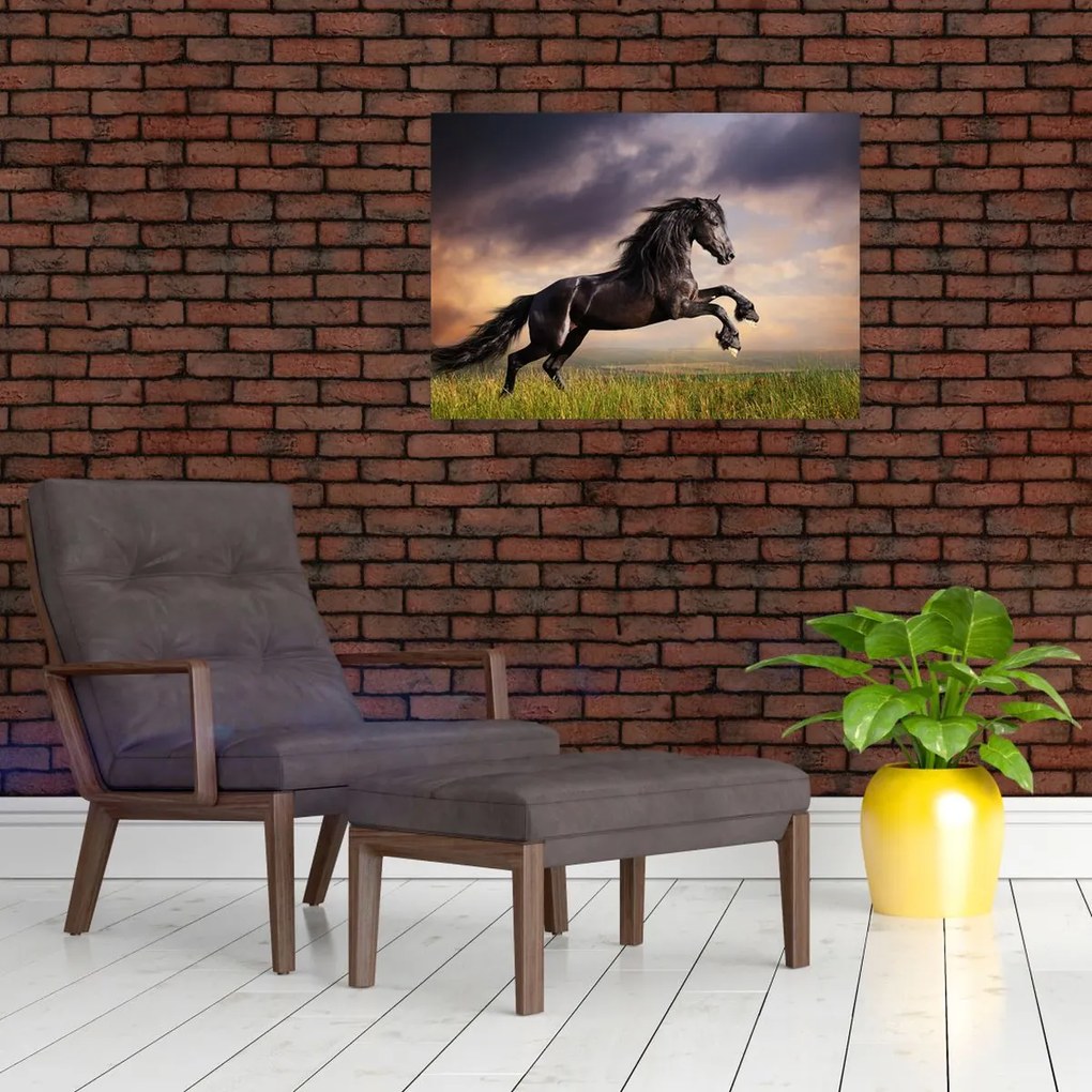 Tablou - Cai (70x50 cm)