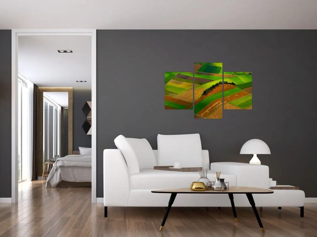 Tablou - Lan, luncile (90x60 cm)