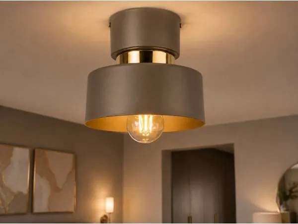 Lampă de tavan IGNIA 1xE27/60W/230V maro/auriu