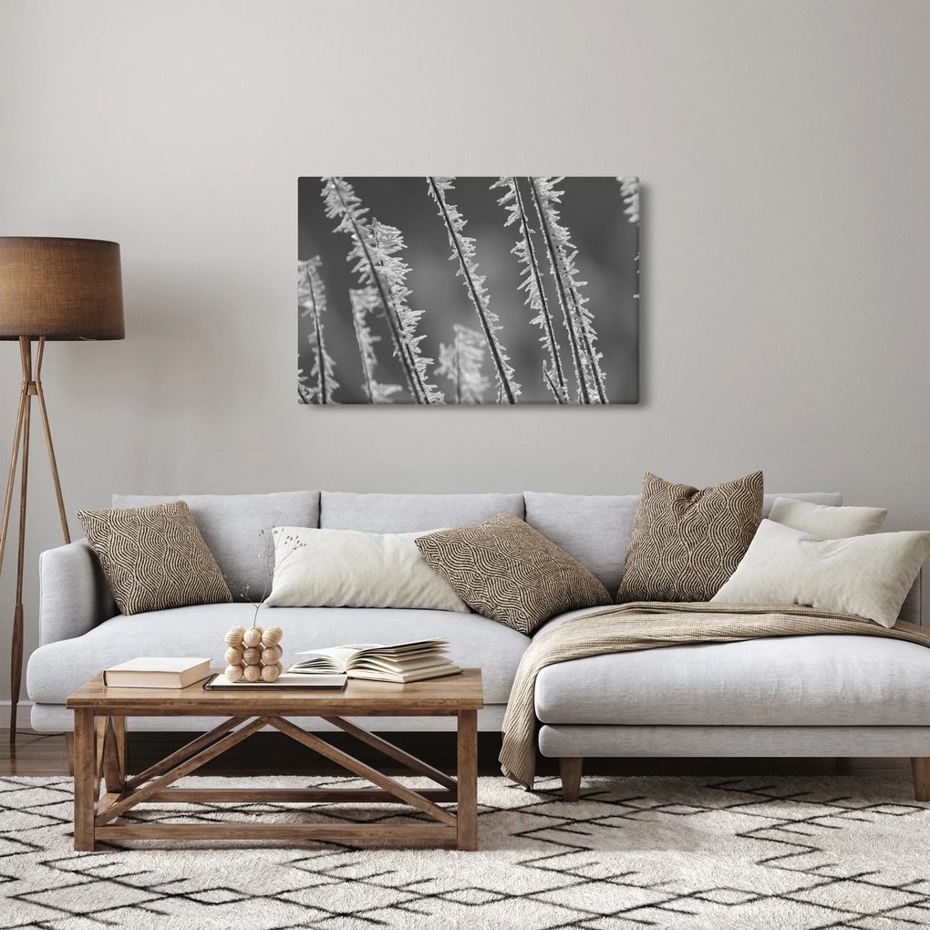 Tablou - Frig de îngheț (90x60 cm)