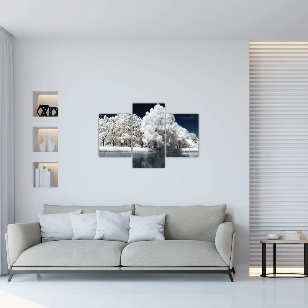 Tablou - Albă ca Zăpada Albă ca Zăpada Copaci (90x60 cm)