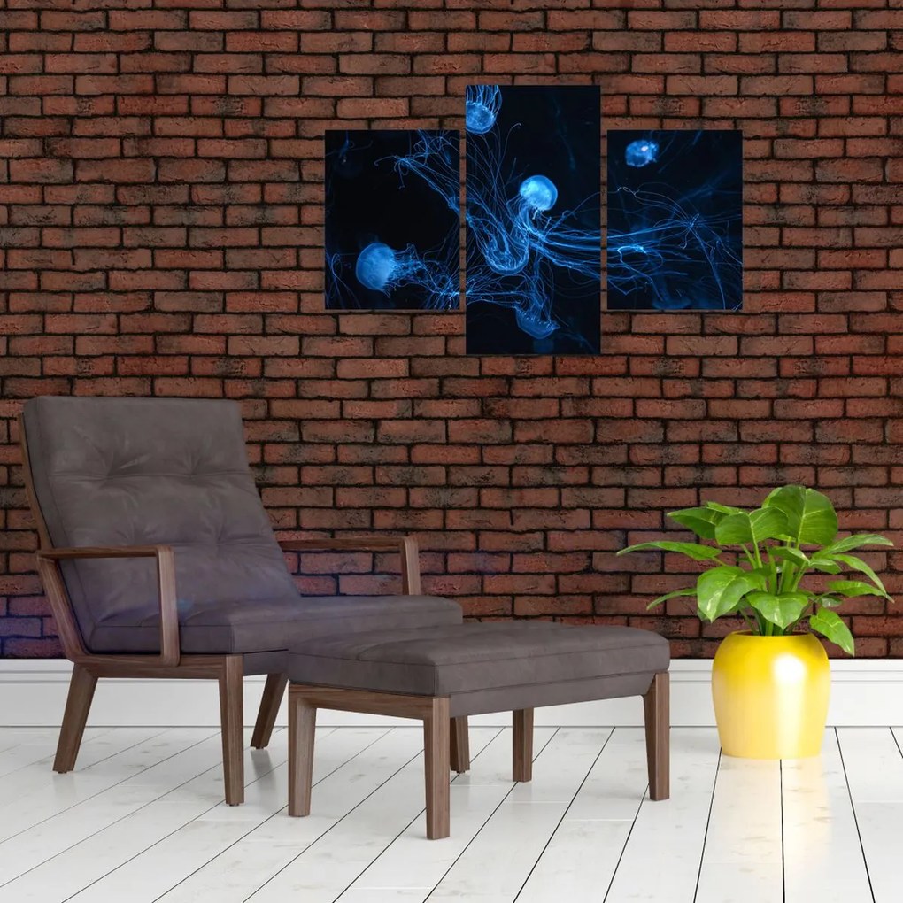 Tablou - Meduză (90x60 cm)