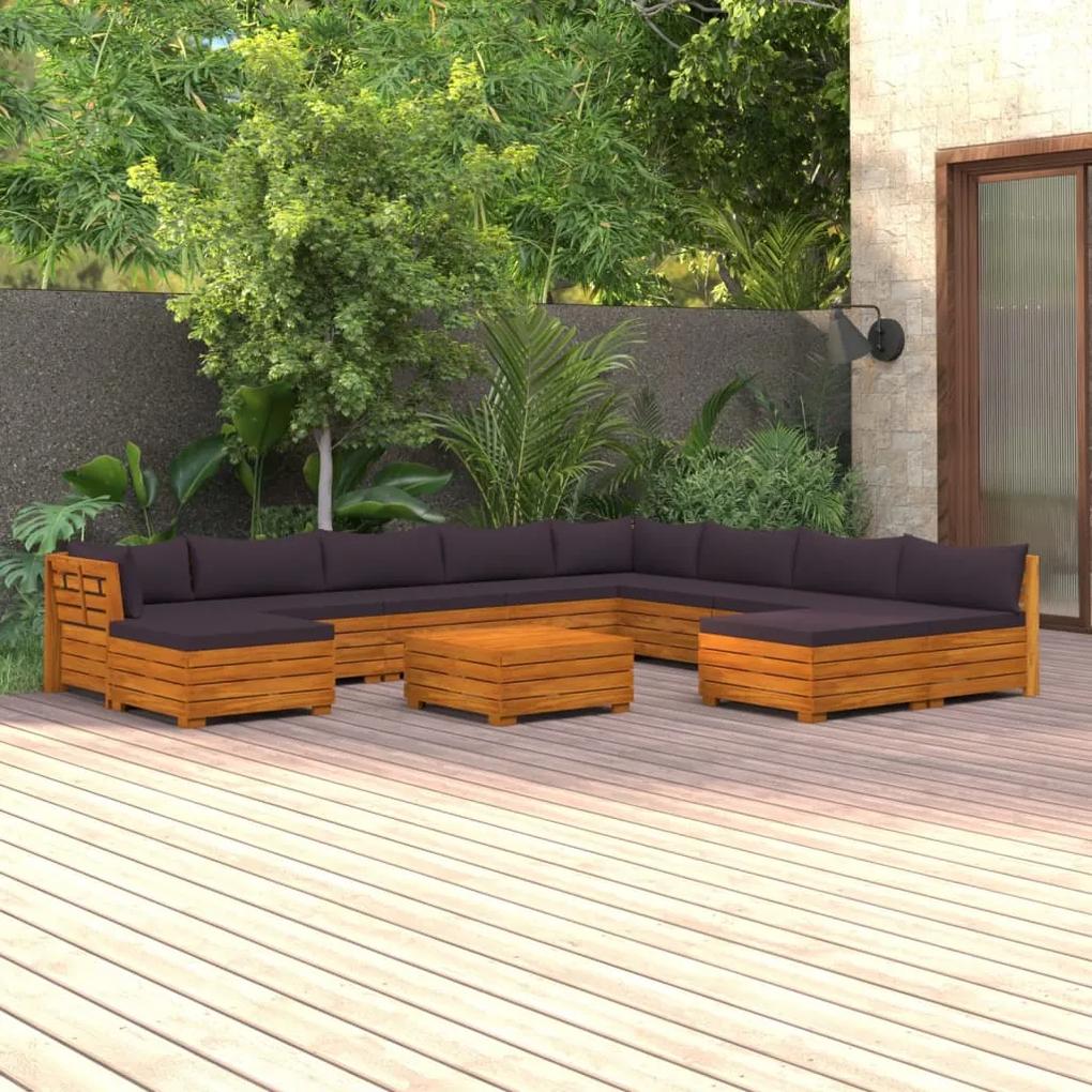 3087320 vidaXL Set mobilier grădină cu perne, 11 piese, lemn masiv de acacia