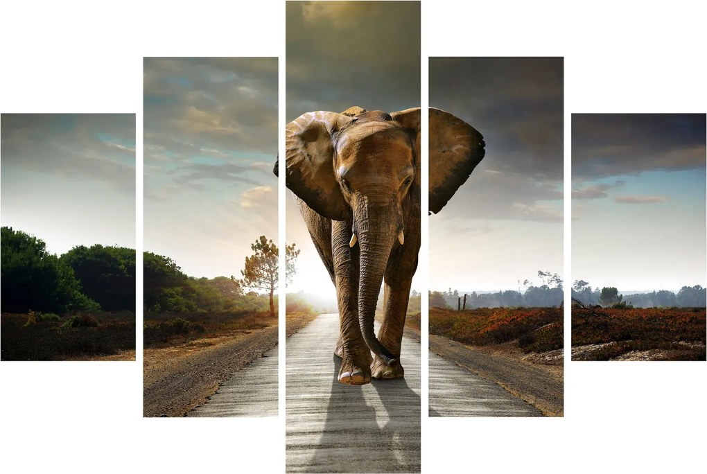 Tablou cu elefant (150x105 cm)